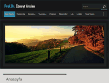 Tablet Screenshot of cuneytarslan.com